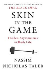 Skin in the Game book cover.